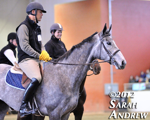 Retired Racehorse Training Project's Trainer Challenge Finale in Harrisburg, PA
