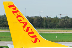 Pegasus Airlines Boeing 737-82R tail TC-ABP  MSN 40876 "Nisa"