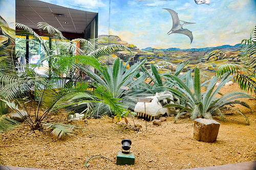 Museo de Paleontología (02)