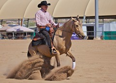 2012 Scottsdale Arabian Horse Show - Part 2