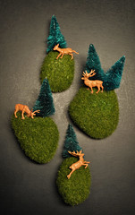 IC5- Mini Nature Dioramas