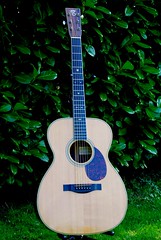 Santa Cruz OM Guitar