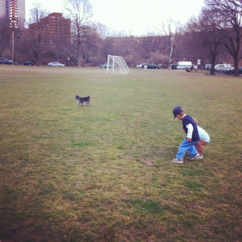 At the dog park with our 'cousin' Rico