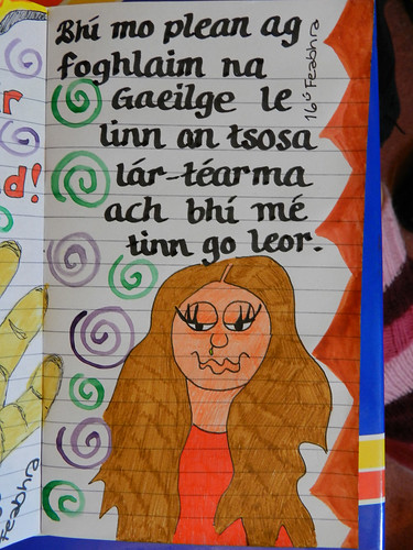 Bhí mo plean ag foghlaim na Gaeilge le linn an tsosa lár-téarma ach bhí mé tinn go leor.