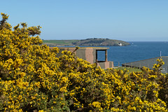 St Anthony Lighthouse and the Half Moon Battery. And a lot of gorse. Pendennis Point, Falmouth by Tim Green aka atoach