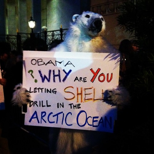 Polar bear protesting @barackobama #obama2012