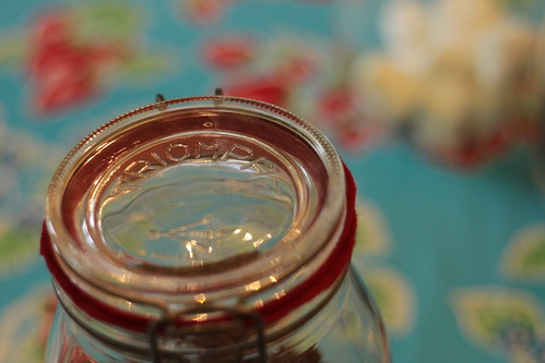 felt rings for vintage canning jars