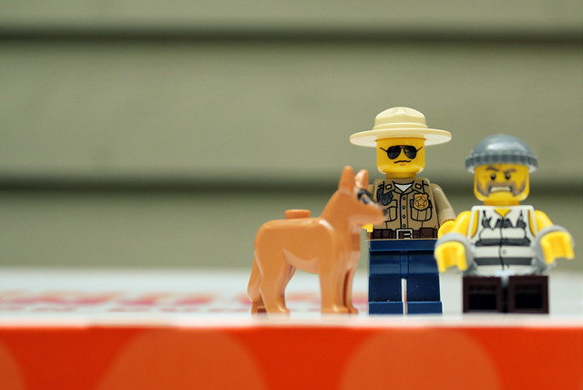 lego police catches the bad guy