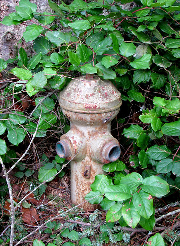 Creepy fire hydrant face