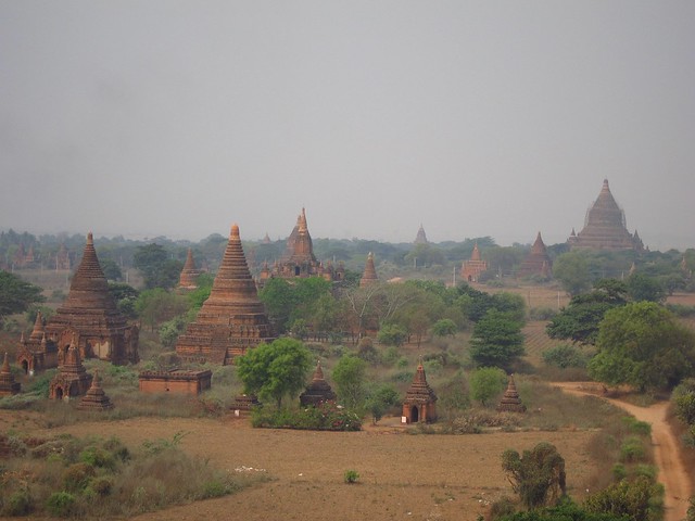 Temples as Far as the Eye Can See