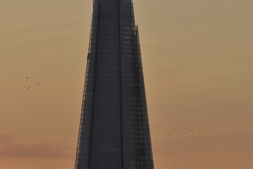Flock and Shard