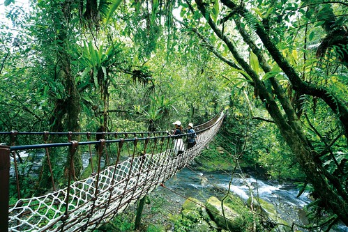 九寮溪沿途的纜繩吊橋。（圖片來源：羅東林管處）