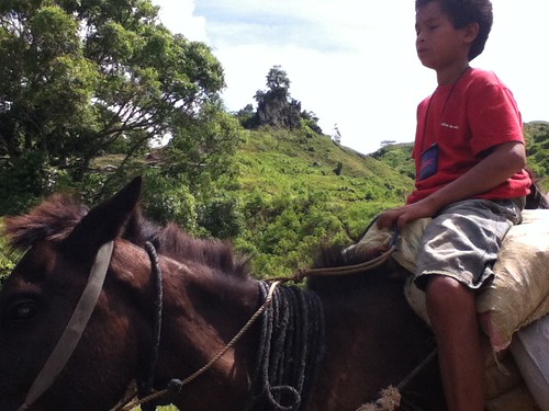 boy riding horse