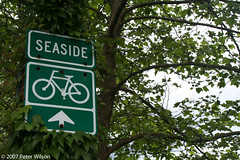 Seaside Bike Path (By Peter Wilson, used with permission)