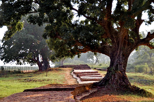 ကပၸိလ၀တ္ Kapilavastu Eastern Gate Way by myanmarchit