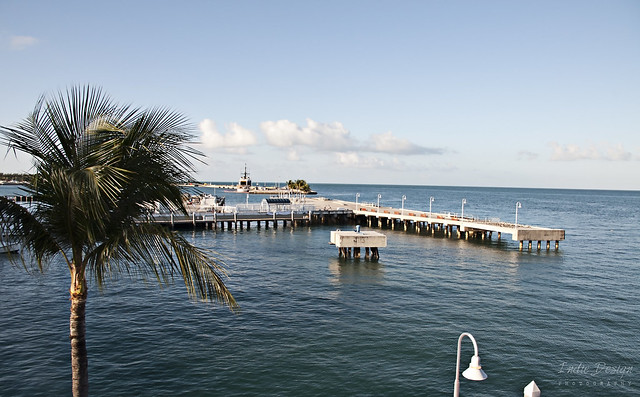 Key West by Indie Design Photography