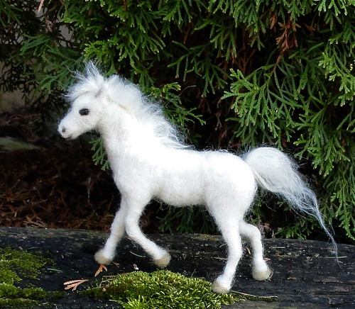 Baby white horse