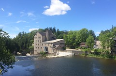 Elora 2016