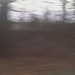 video posted by NGaffey to Flickr