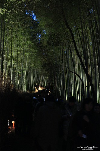 Arashiyama 嵐山 - 13