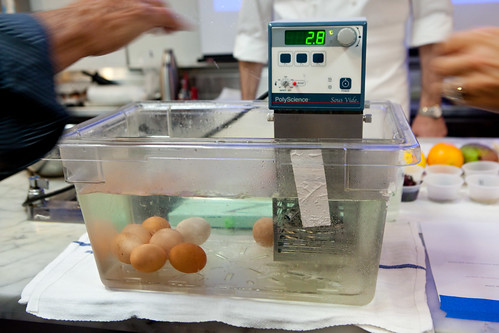 Placing the eggs into the immersion circulator