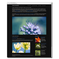 Floral Photography Website - Screenshot March 2012