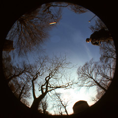 Playing with a fisheye-lens