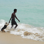 Unawatuna Dog Wash - Sri Lanka