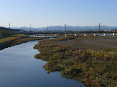 圖：日本多摩川景貌。攝影者：Nohch；適用CC-BY授權。
