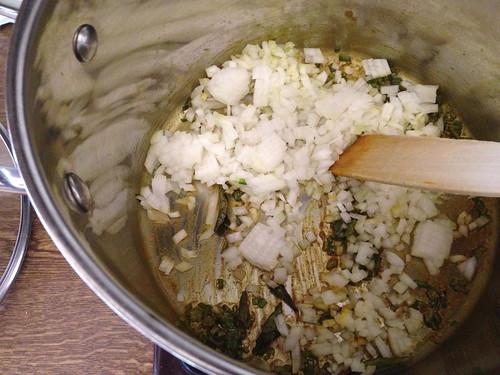 Vegetarian Curry - Adding onion