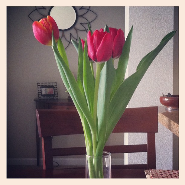 On the table this week:: Tulips!