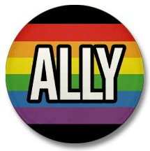 A rainbow pin that says "Ally"