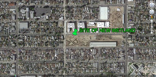 site of South LA Wetland Park (via Google Earth)