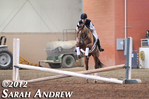 Retired Racehorse Training Project's Trainer Challenge Finale in Harrisburg, PA