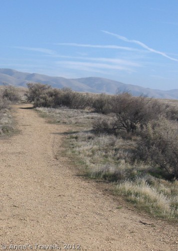 San Andreas Fault, Wallace Creek Trail, Carrizo National Monument, California