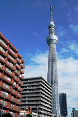Sky Tower in Tokyo