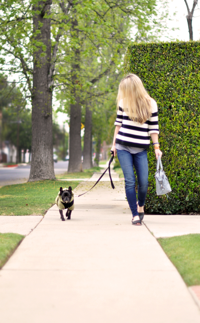 walking the dog-frenchie-black french bulldog-outfit