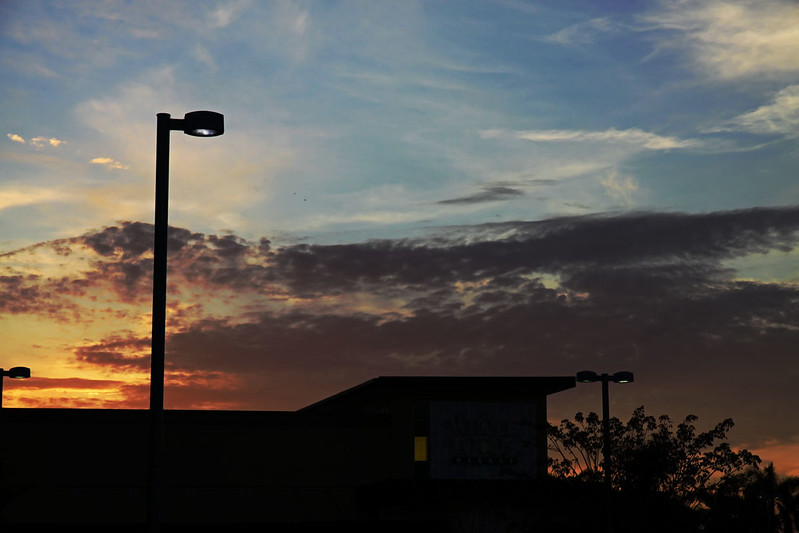Whole Foods sunset silhouette