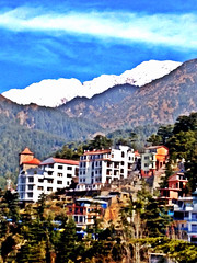 McLeod Gang, Dharamsala