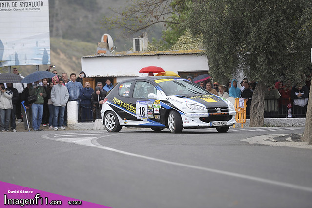 "Sergio Reyes, Ugijar, rally, peugeot 206"