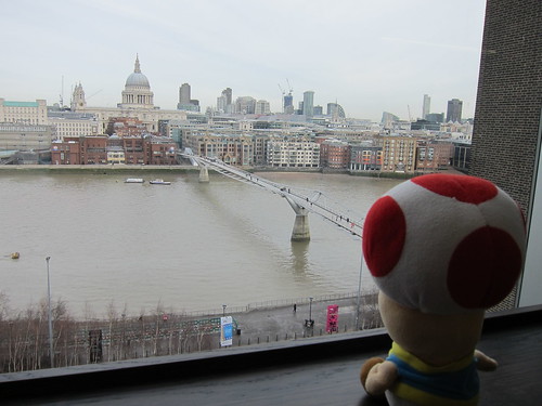 Toad views Millennium bridge