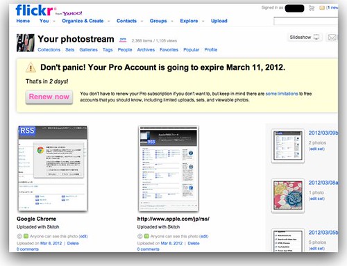 Flickr_ Your Photostream