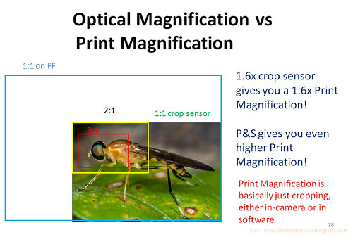 print magnification vs optical magnification soldier fly