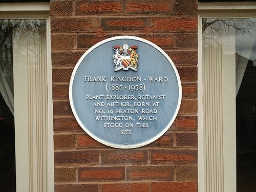 Photograph of the blue plaque erected by Manchester city council marking the place of Frank's birth. It reads; Frank Kingdon-Ward, 1885-1958 plant explorer, botanist, author. Born at no. 14 Heaton Road, Withington, which stood on this site.