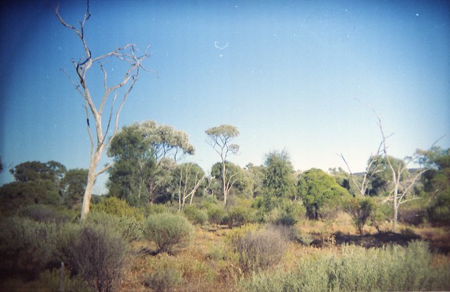 Australian Outback, Idalia National Park