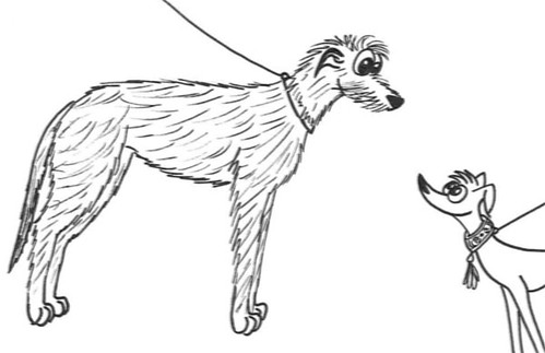 Comic-Whippet-u-Irish-Wolfhound