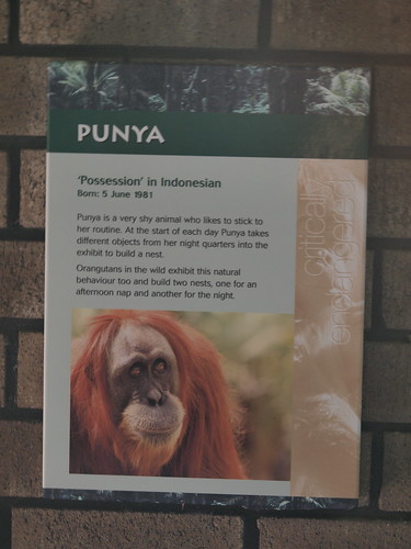 Perth Zoo by panGH