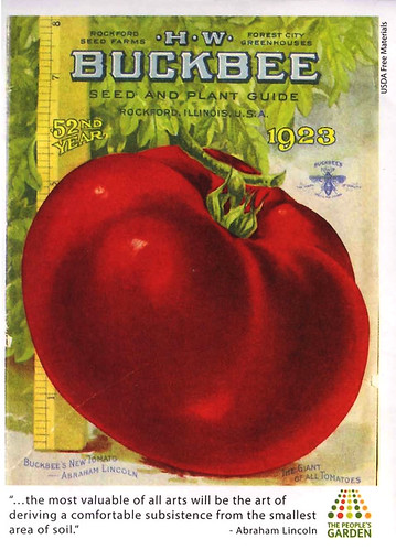 Tomato seeds of the ‘Abraham Lincoln’ heirloom variety were used by the PMC to germinate plants given away at the event.