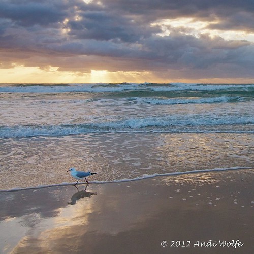 Australian sunrise by andiwolfe (Jet-lagged)