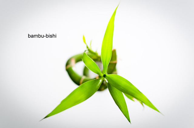 148/366: bambu-bishi